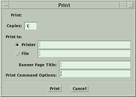 A print dialog box